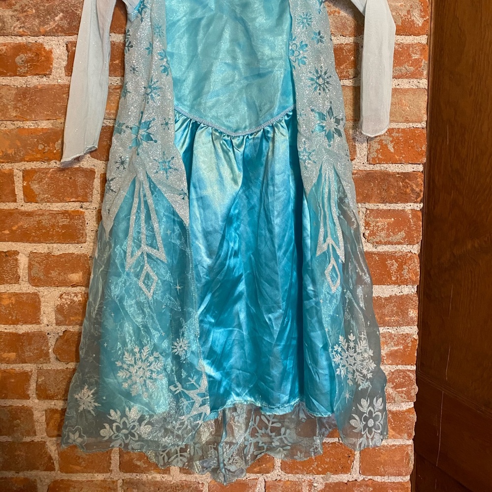 Disney Elsa the Queen costume dress
